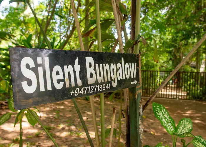 Silent Bungalow