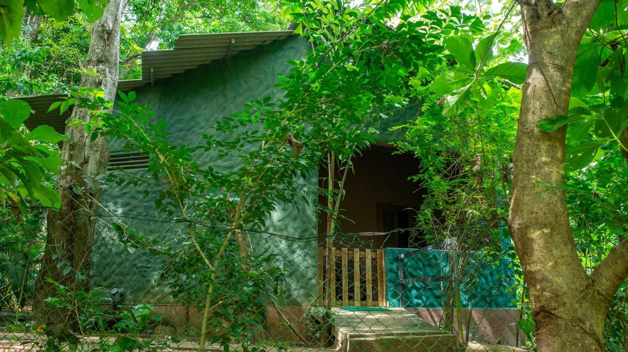 Silent Udawalawe