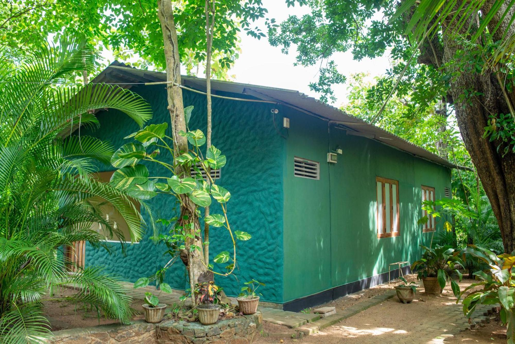 Silent Homestay Udawalawe